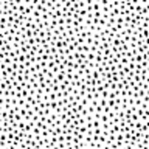 Meet your Posher, Annika